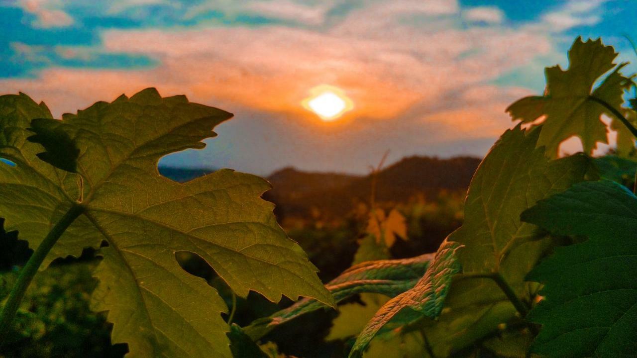 Agriturismo "Le Giustizie" Villa Agliano Terme Eksteriør billede